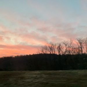 Meet your Posher, Michaela